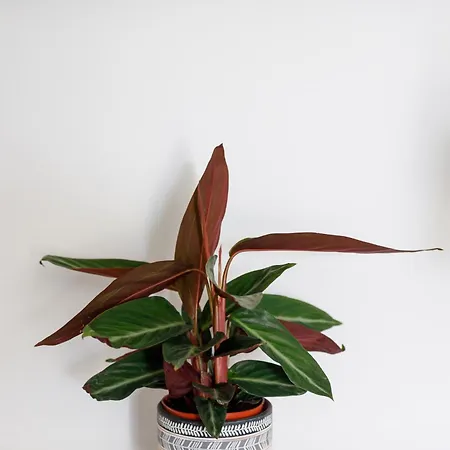 Harbour View Appartement Ermoúpoli