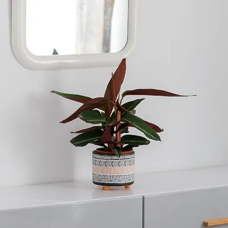 Appartement Harbour View