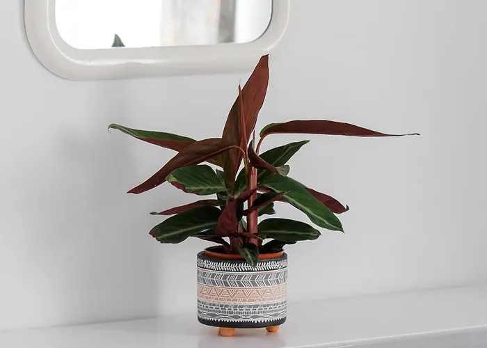 Apartamento Harbour View